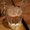 Photo of Jamerss A.