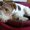 Photo of Qype User (elemen…)