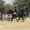 Photo of Rebeccah C.