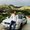 Photo of Mujahed P.