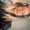 Photo of Desiree B.