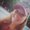 Photo of Sarah N.