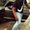 Photo of Deontae J.