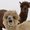 Photo of Qype User (hellog…)
