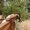 Photo of Peachilla F.