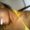 Photo of Melissa J.