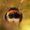 Photo of Mr N.