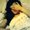 Photo of Charmaine C.