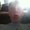 Photo of Pat S.