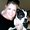 Photo of Terri S.