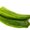 Photo of RomeFree P.