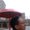 Photo of Kimberly S.