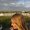 Photo of Amanda A.