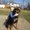 Photo of Melissa L.