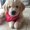 Photo of Corina I.
