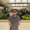 Photo of Tien N.