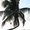 Photo of Charlène F.