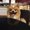Photo of Sarazenia B.