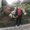 Photo of Noelene A.