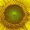 Photo of Qype User (boardi…)