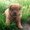 Photo of Lily D.