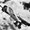 Photo of Ju-87 S.