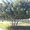 Photo of Deepthi S.