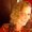 Photo of Elise H.