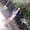 Photo of Harsha B.