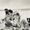Photo of Huyen N.