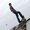 Photo of Coltran H.