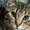 Photo of Luna H.