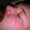 Photo of Brett P.