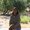 Photo of Jessica D.