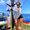 Photo of Makani K.