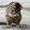 Photo of Qype User (Nebik…)