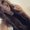 Photo of Jessica S.