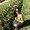 Photo of Guddi B.