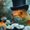Photo of Melina P.