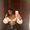 Photo of Adanna H.
