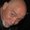 Photo of Rick C.