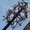 Photo of Qype User (UrbanW…)