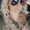 Photo of Amber G.