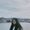 Photo of Nghi P.
