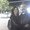 Photo of Teresa P.