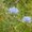 Photo of Qype User (helenw…)