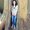 Photo of Sheena C.