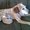Photo of Penny G.