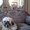 Photo of Debra H.