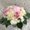 Photo of A Flower Basket R.